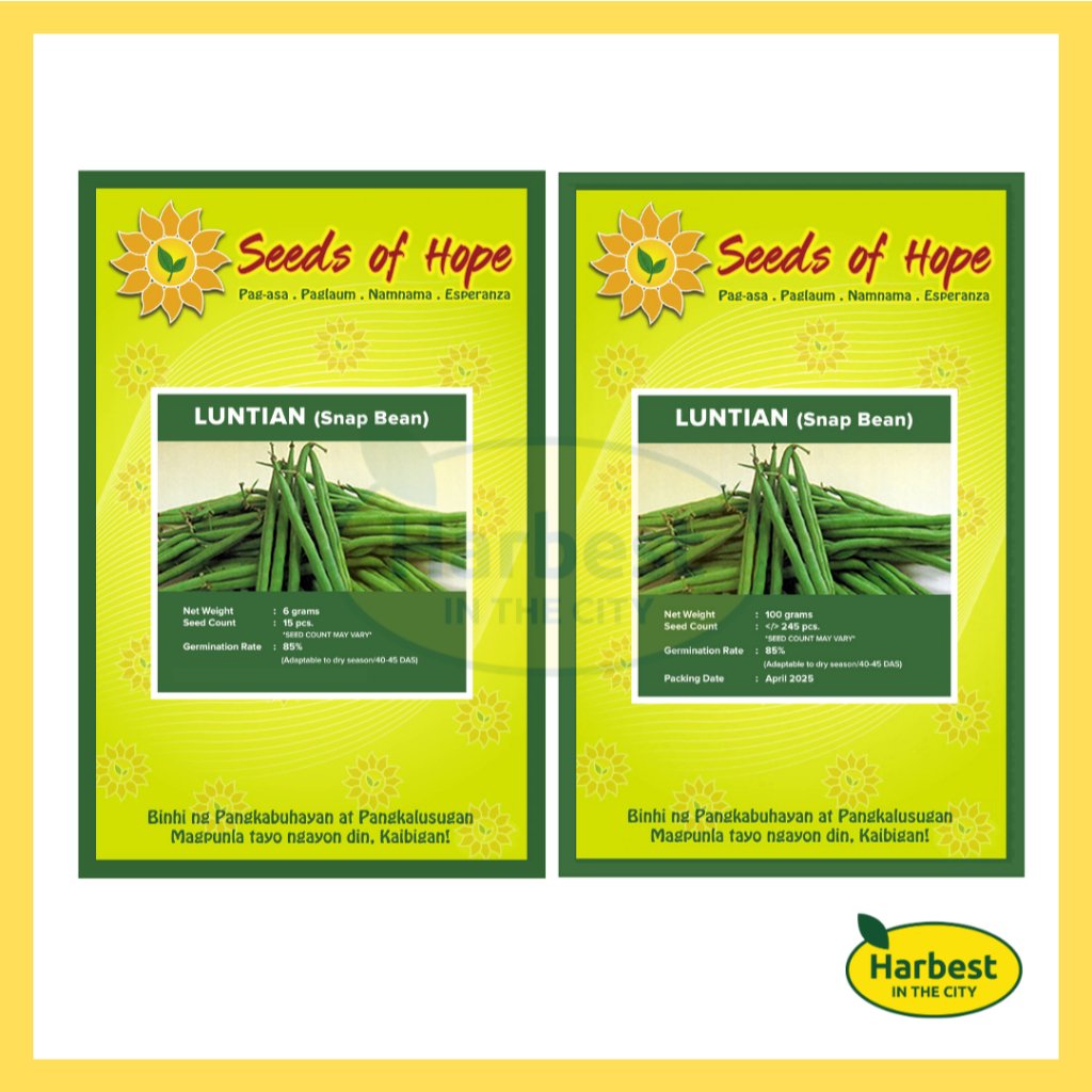 Ph 11134207 7rase m9fcedikj34dab.jpeg