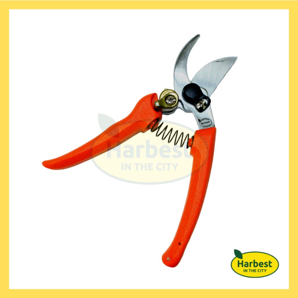 Ph 11134207 7rase m9fdue00c5rn82.jpeg