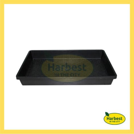 Ph 11134207 7rasf m3lg2arhw5cn04.jpeg