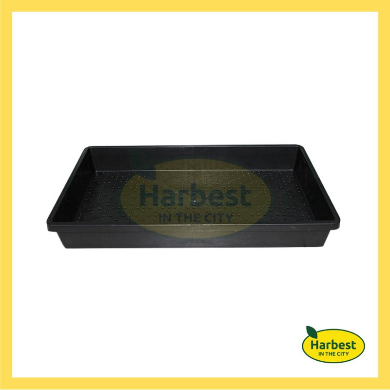 Ph 11134207 7rasf m3lg2arhw5cn04.jpeg