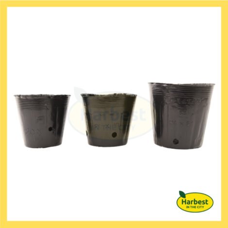 Ph 11134207 7rasf m3tzsxkxbrbrd9.jpeg