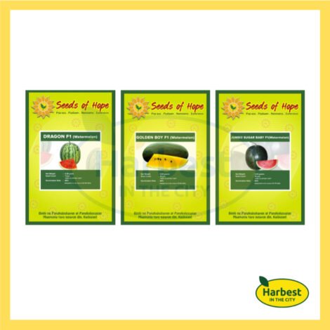 Ph 11134207 7rasf m401dcy25mgbe5.jpeg