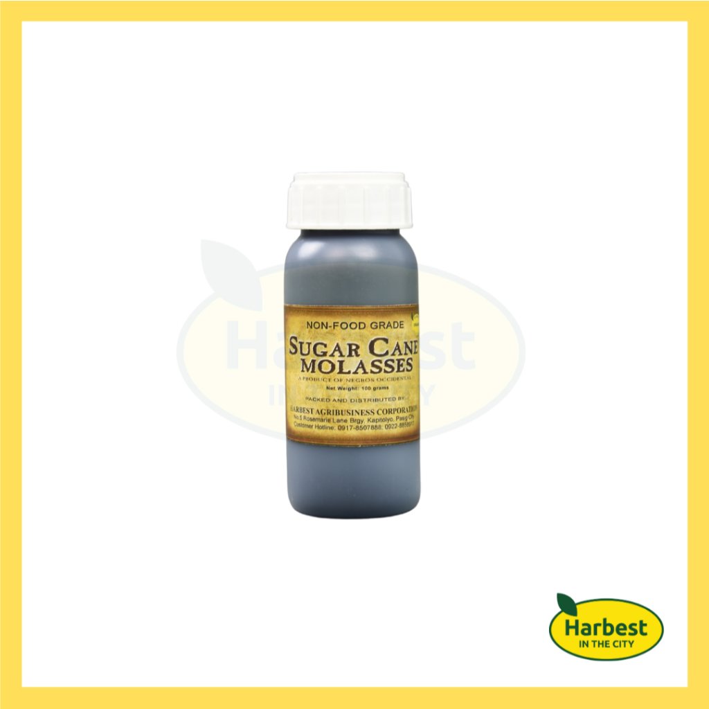 Ph 11134207 7rasf m4il4i2mp04r9e.jpeg