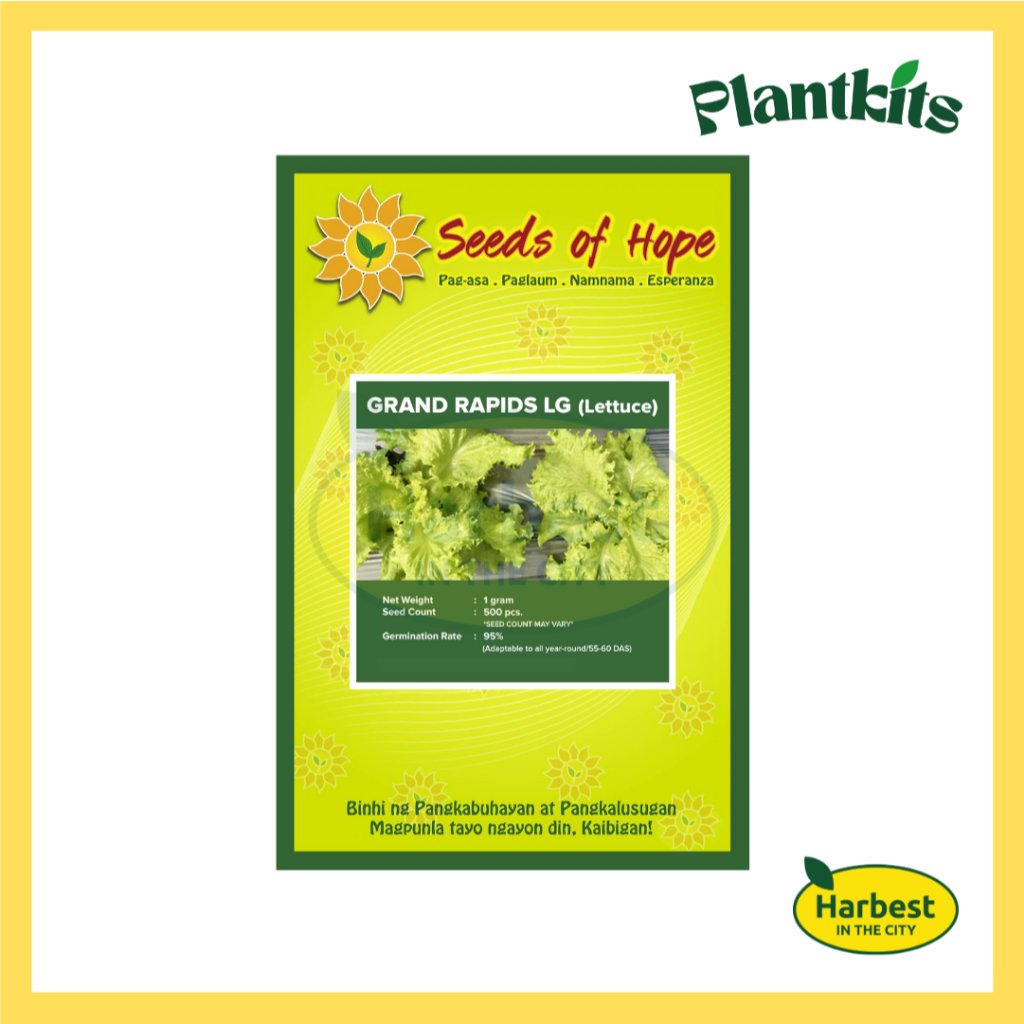 Ph 11134207 7rasf m4r99m810xkbb2.jpeg