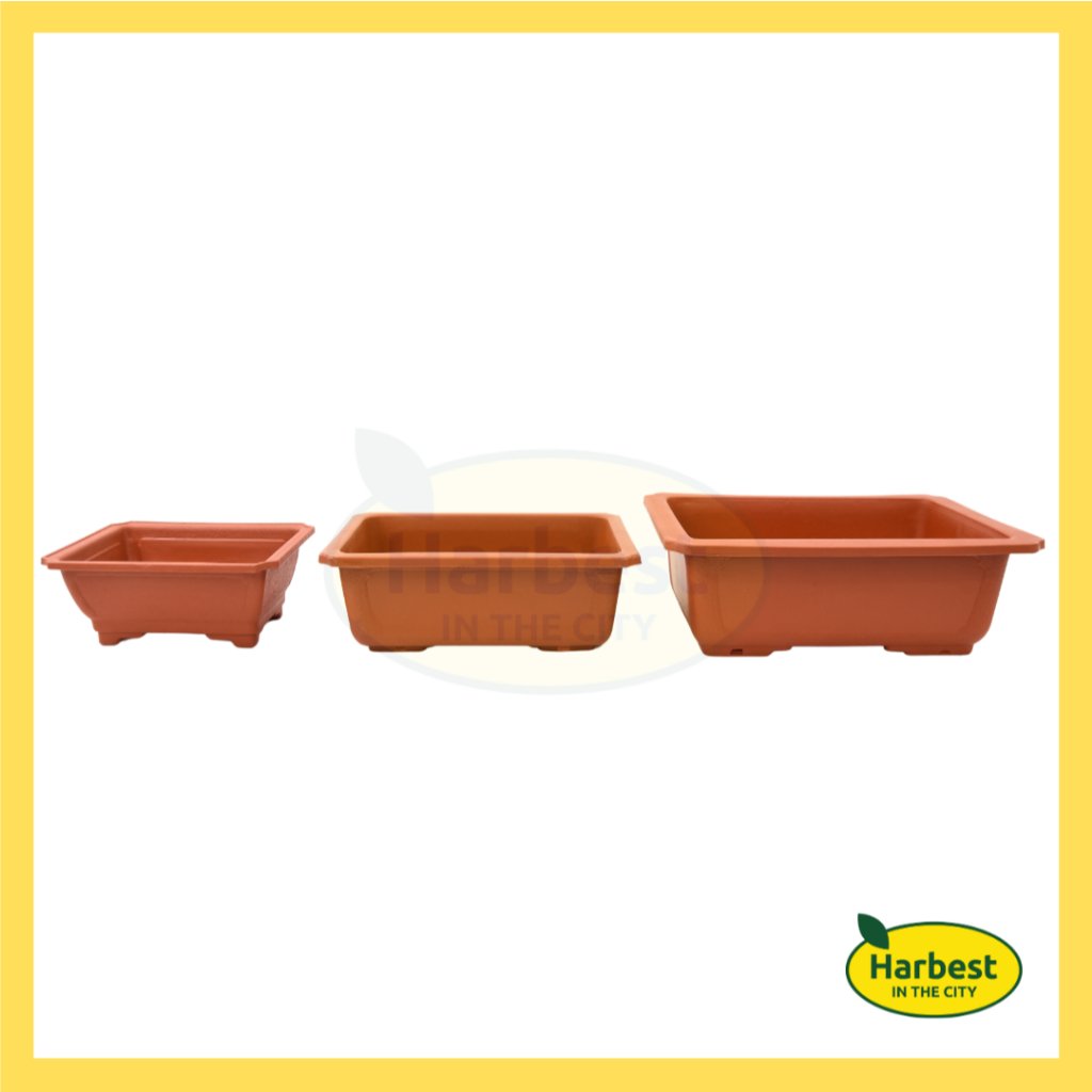 Ph 11134207 7rasf m53p0n3edtoub7.jpeg