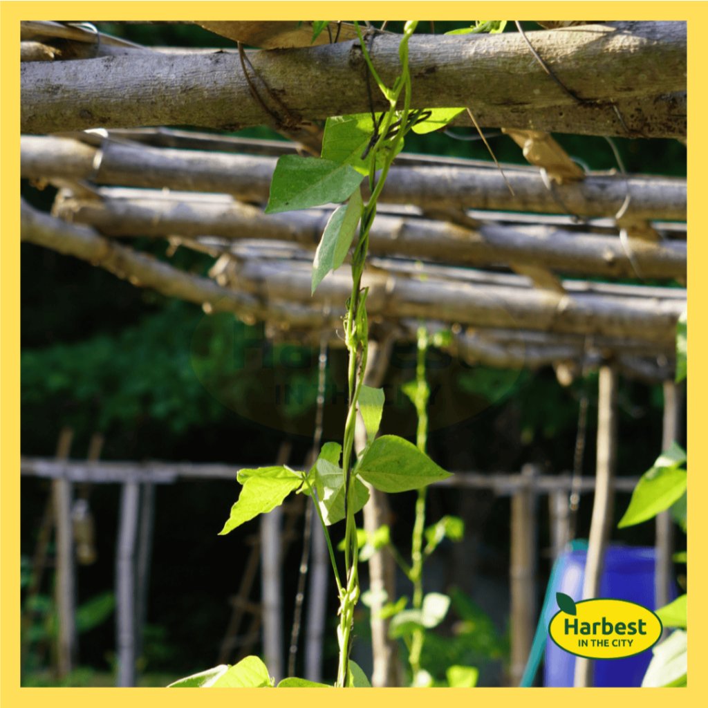 Ph 11134207 7rasf m5b6edaw791qbc.jpeg