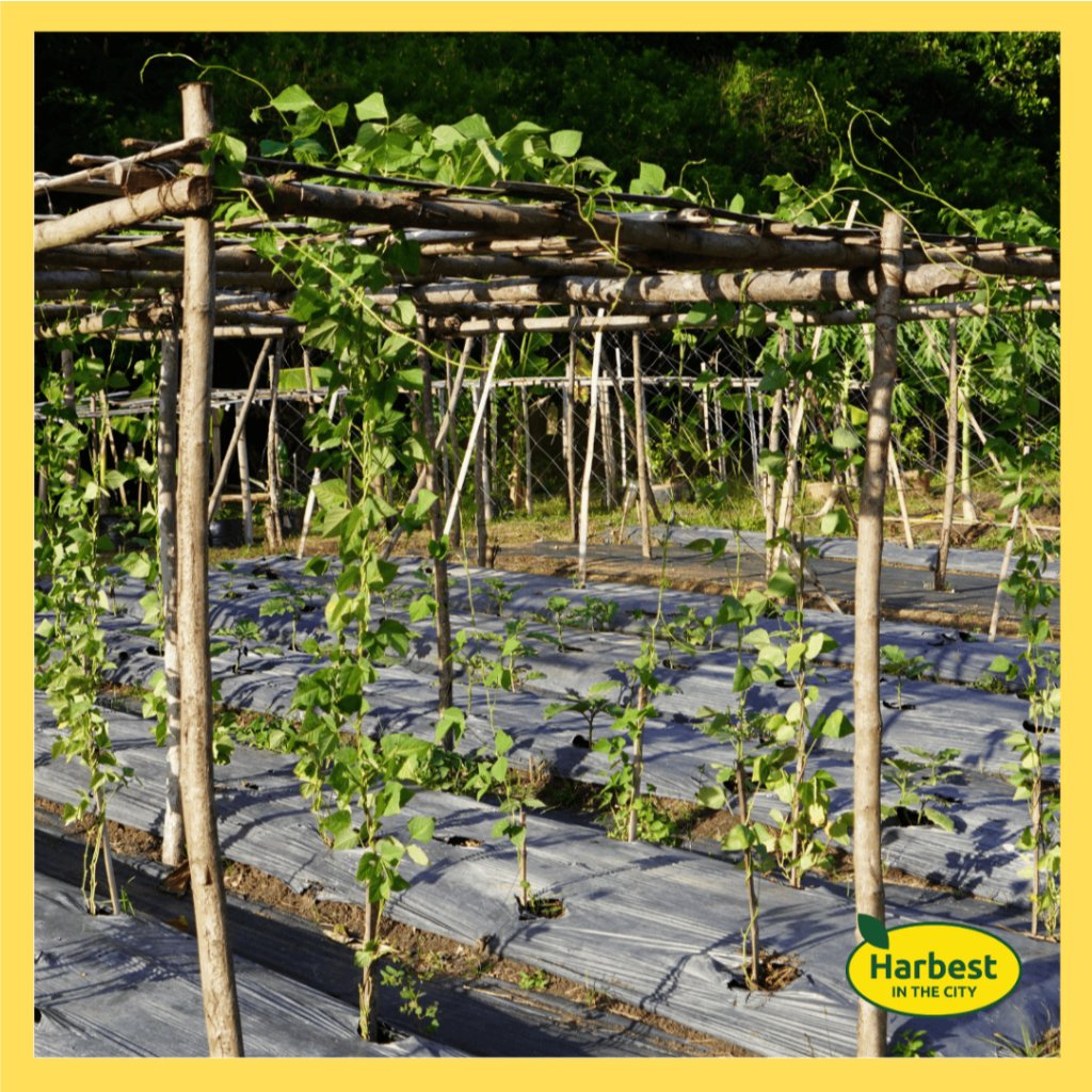 Ph 11134207 7rasf m5b6edaw79dvf5.jpeg