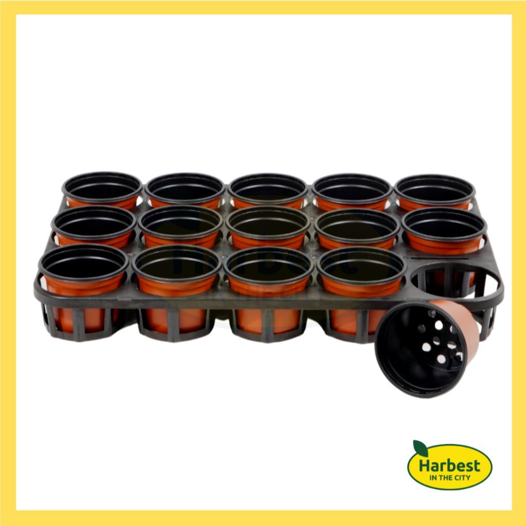 Ph 11134207 7rasf m8eetw8zsyou95.jpeg