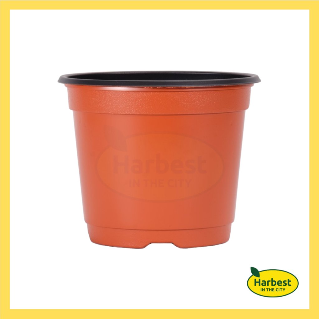 Ph 11134207 7rasf m8ykl5rinn2l51.jpeg