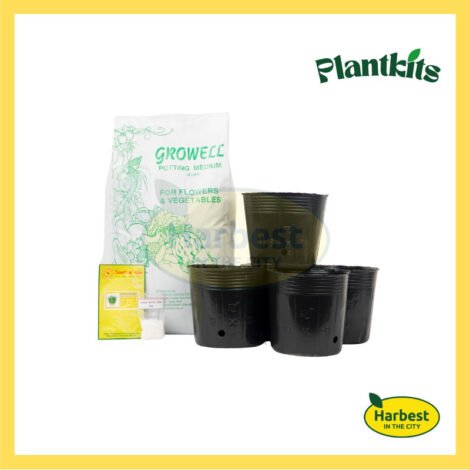 Ph 11134207 7rasg m3kf2optkrvz67.jpeg