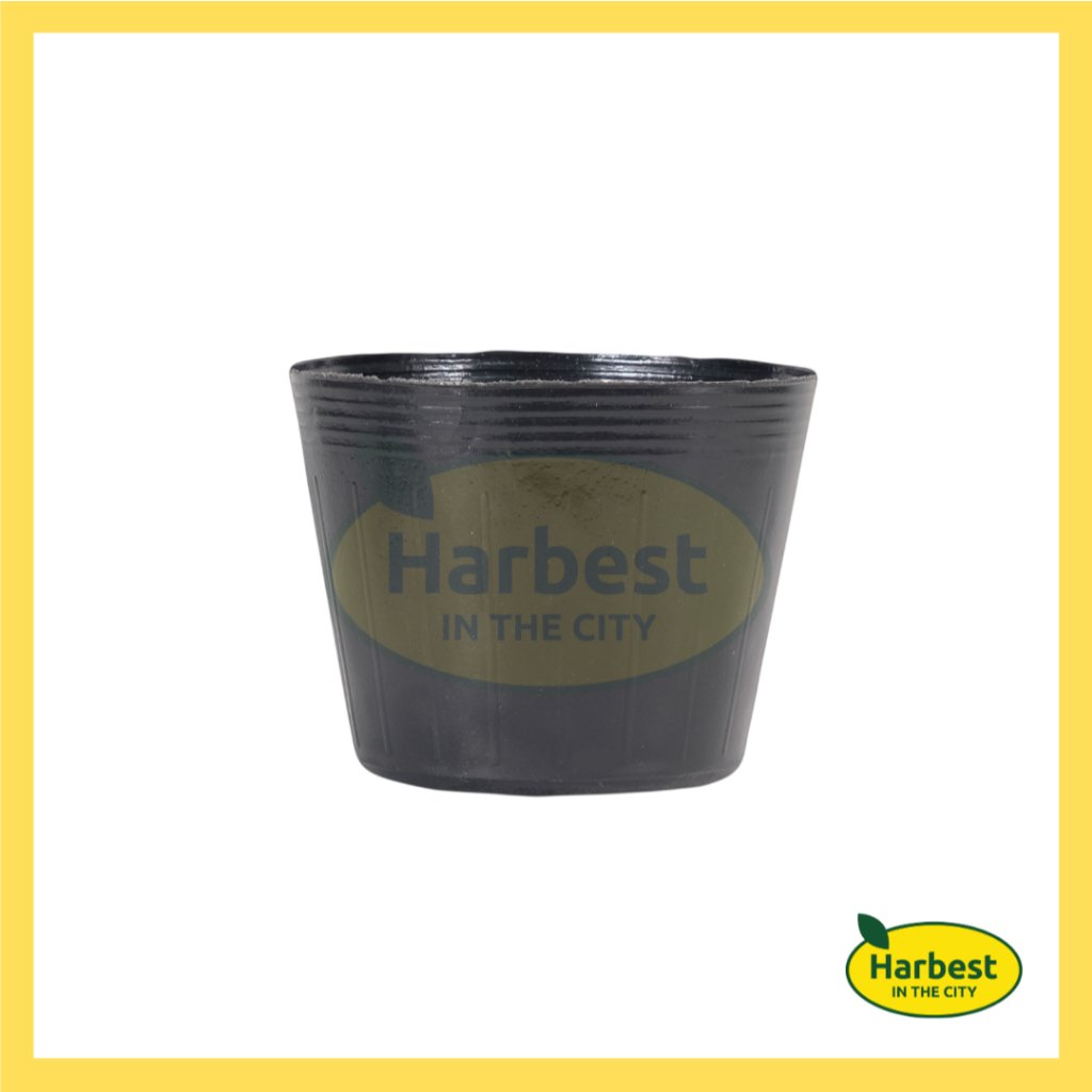 Ph 11134207 7rasg m3ub8imqbwhbee.jpeg