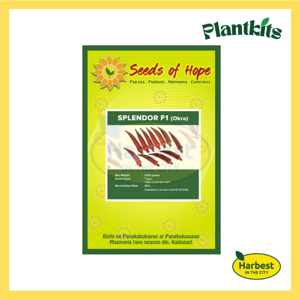 Ph 11134207 7rasg m4sd3dd8idn2f1.jpeg