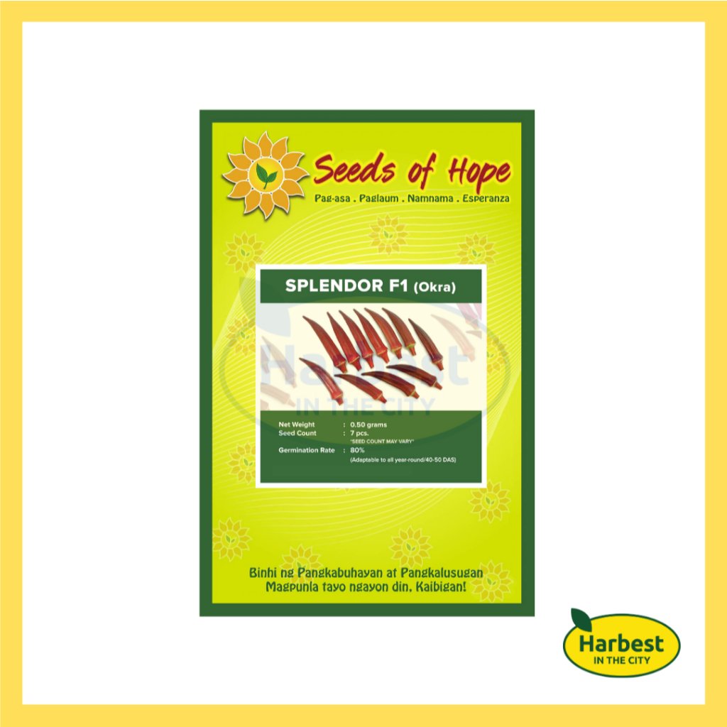 Ph 11134207 7rasg m4sdnytlisred5.jpeg