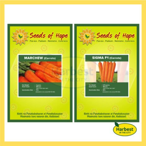 Ph 11134207 7rasg m55icuu9twg2a0.jpeg