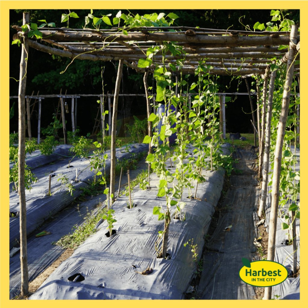 Ph 11134207 7rasg m5b6edaw5uha0e.jpeg