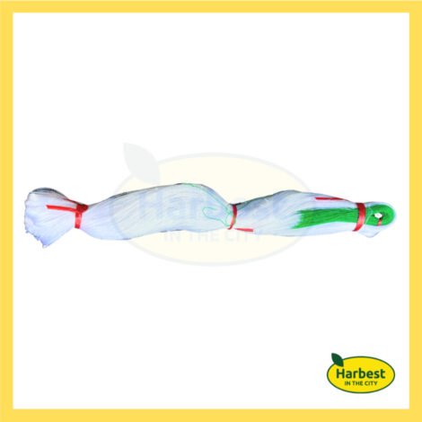 Ph 11134207 7rasg m64vi0fa0whu46.jpeg