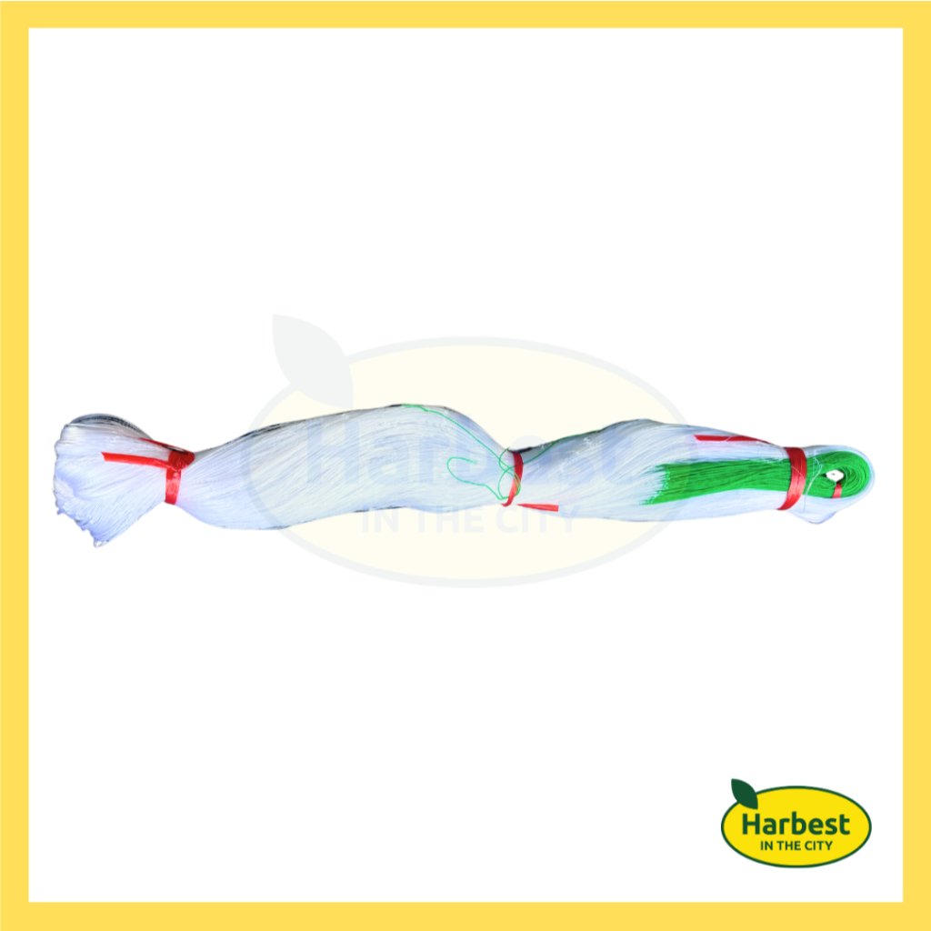 Ph 11134207 7rasg m64vi0fa0whu46.jpeg