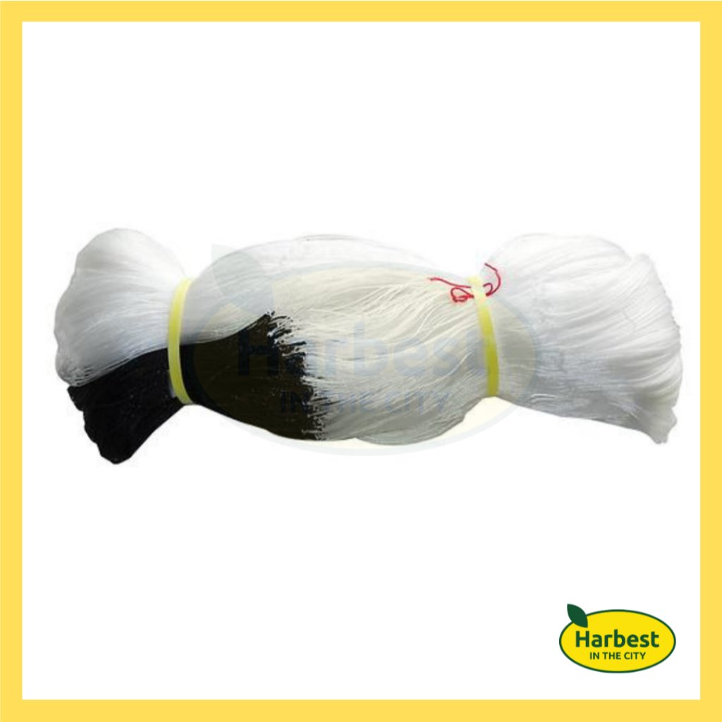 Ph 11134207 7rasg m64vica0of4218.jpeg