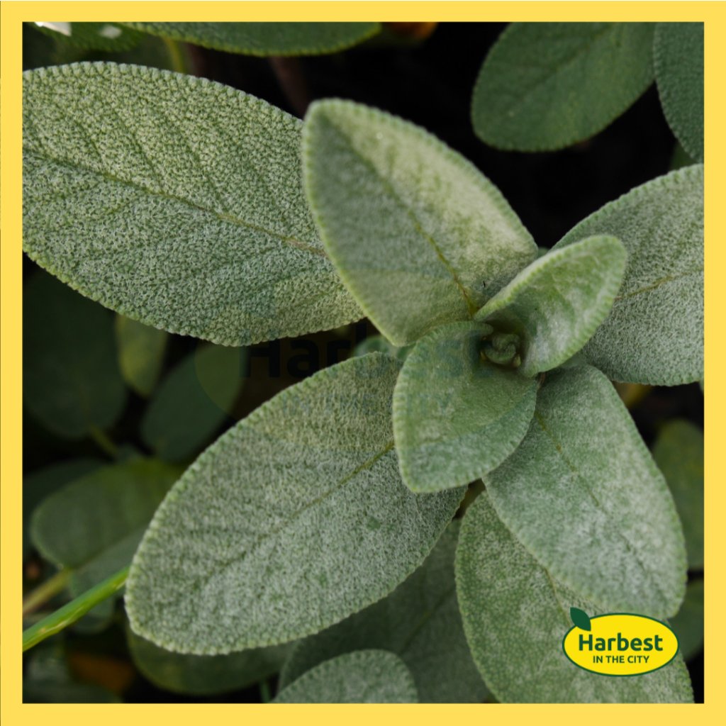 Ph 11134207 7rasg m8e6pddwg6cz9b.jpeg