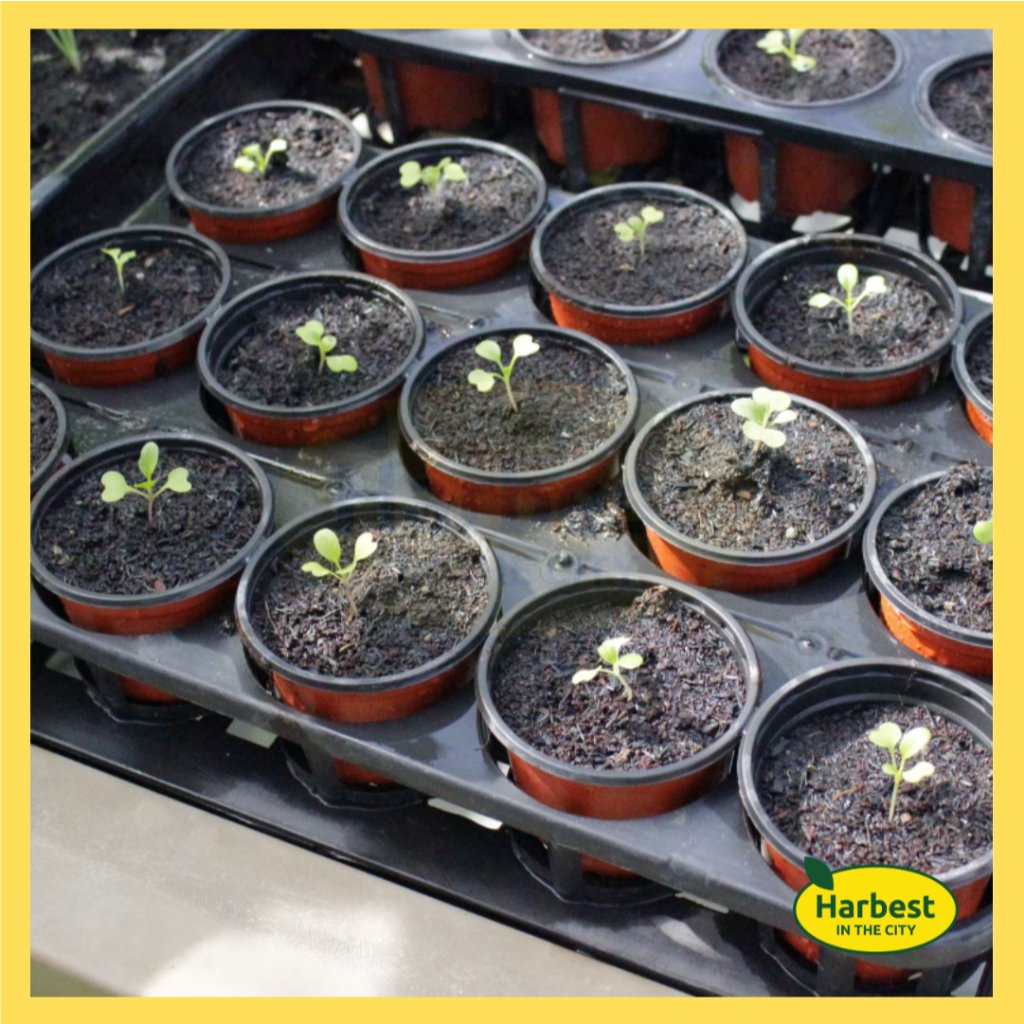 Ph 11134207 7rasg m8eetwa3sqsee0.jpeg