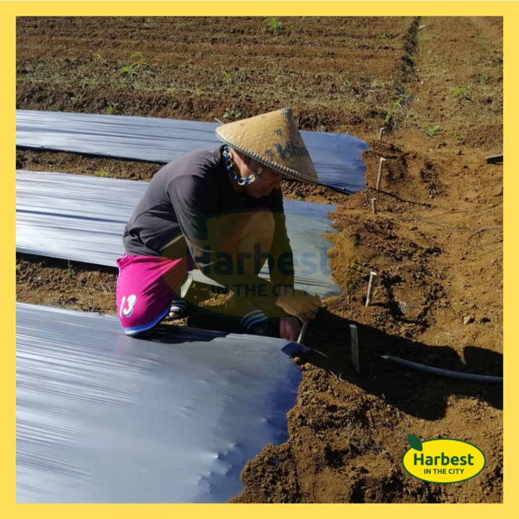 Ph 11134207 7rasg m8zurw1fbhr202.jpeg