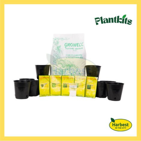 Ph 11134207 7rash m3kcrypzcu9b2b.jpeg