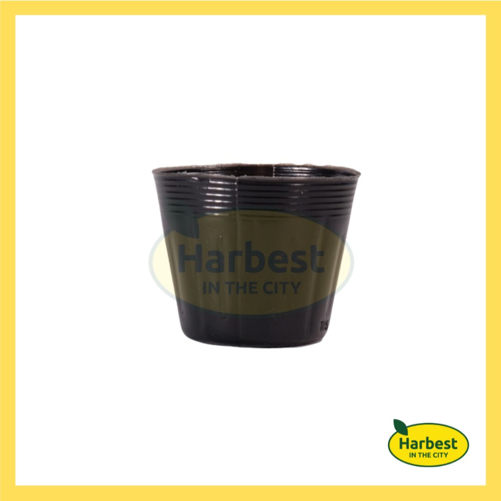 Ph 11134207 7rash m3ub8imqahwv5a.jpeg