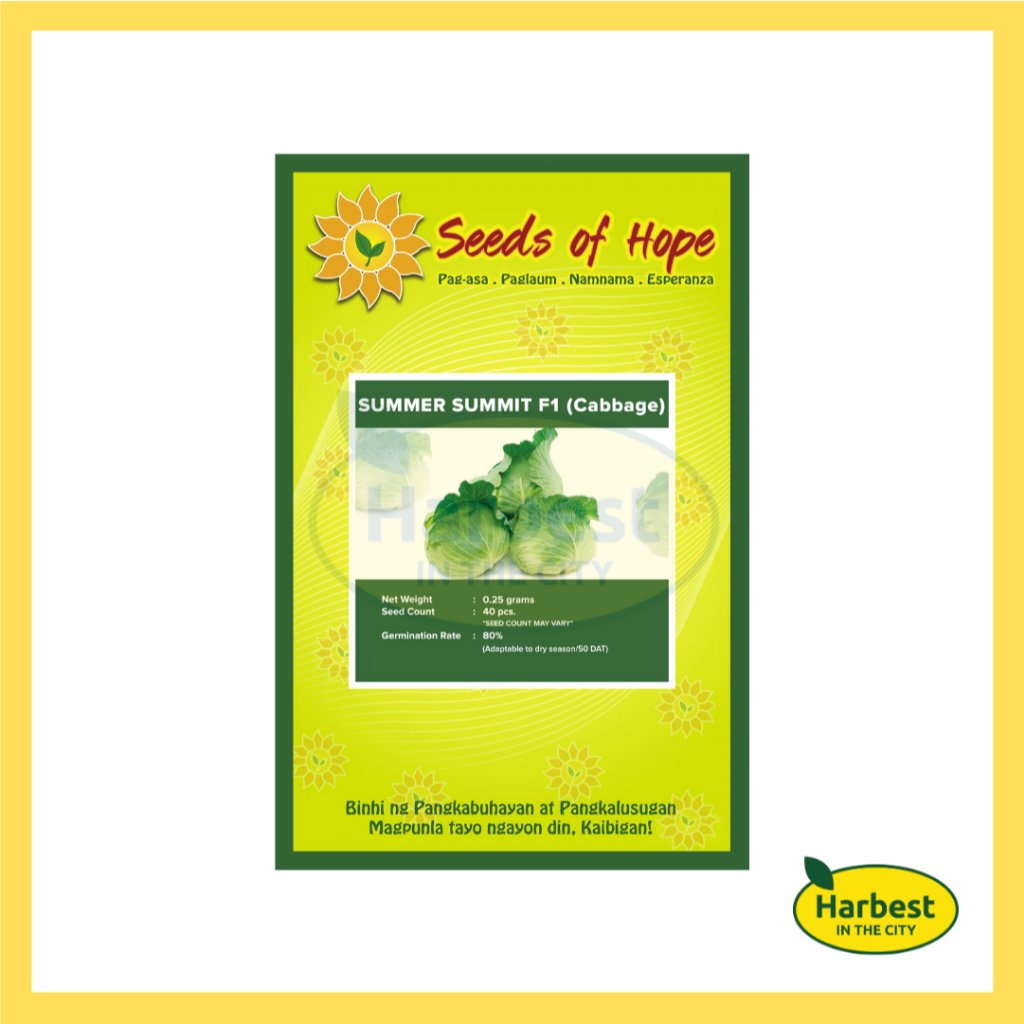 Ph 11134207 7rash m55kusizv91e87.jpeg