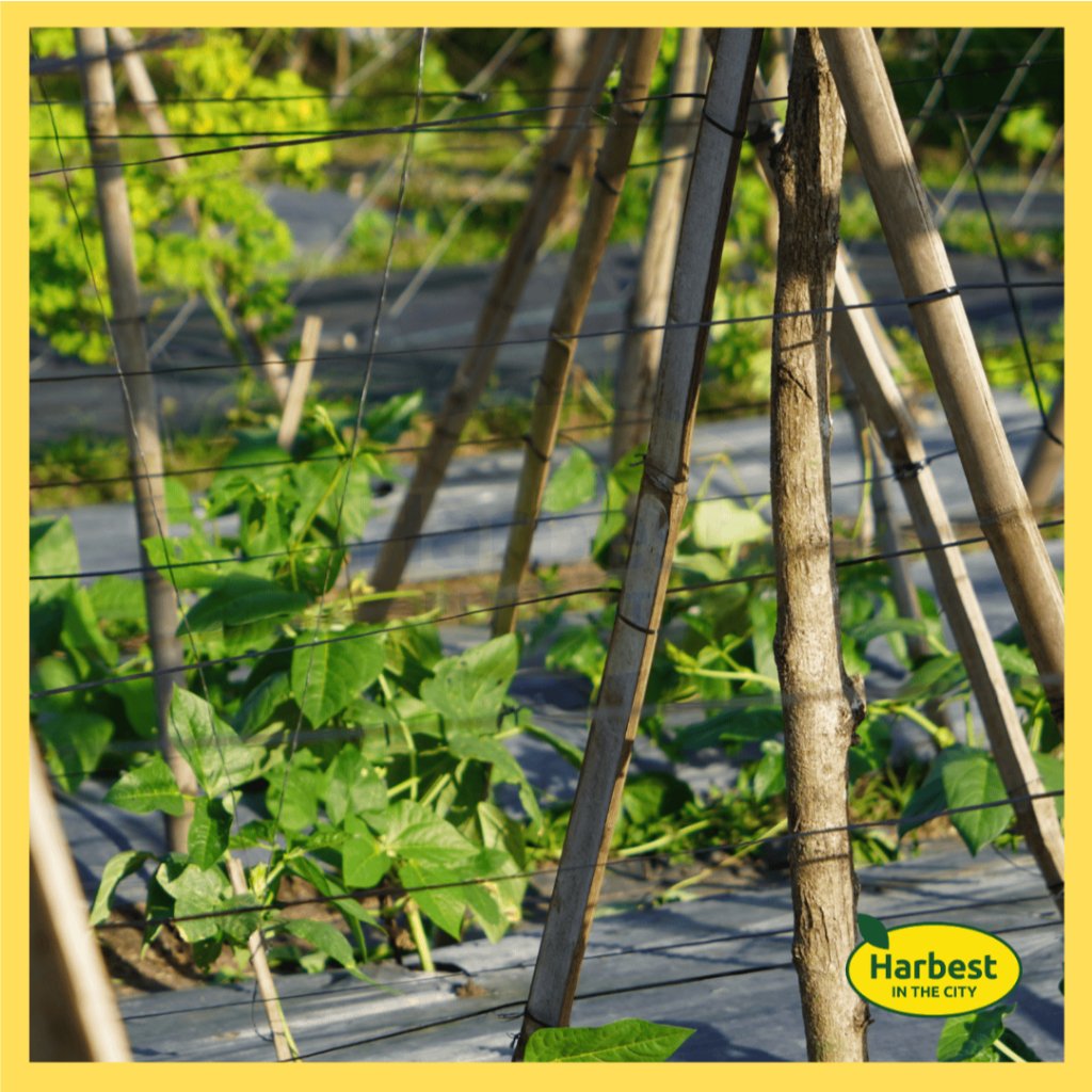 Ph 11134207 7rash m5b53vvt0biba8.jpeg