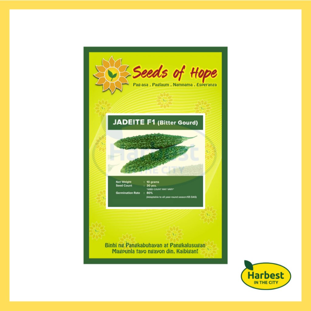 Ph 11134207 7rash m5b9bgy39awye2.jpeg