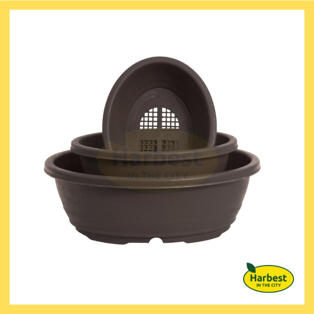 Ph 11134207 7rash m9fd0h30b9u5e1.jpeg