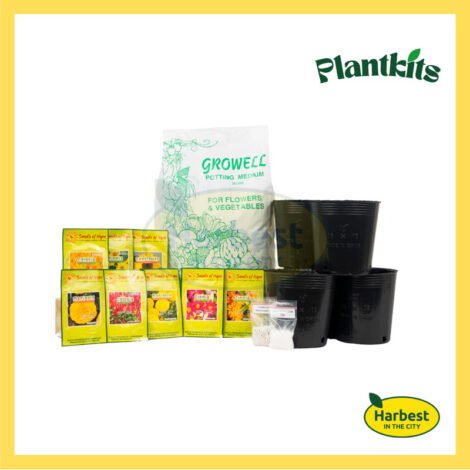 Ph 11134207 7rasi m3kfsomm50k7de.jpeg