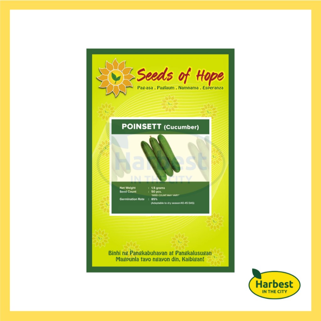 Ph 11134207 7rasi m4setz869dmre4.jpeg