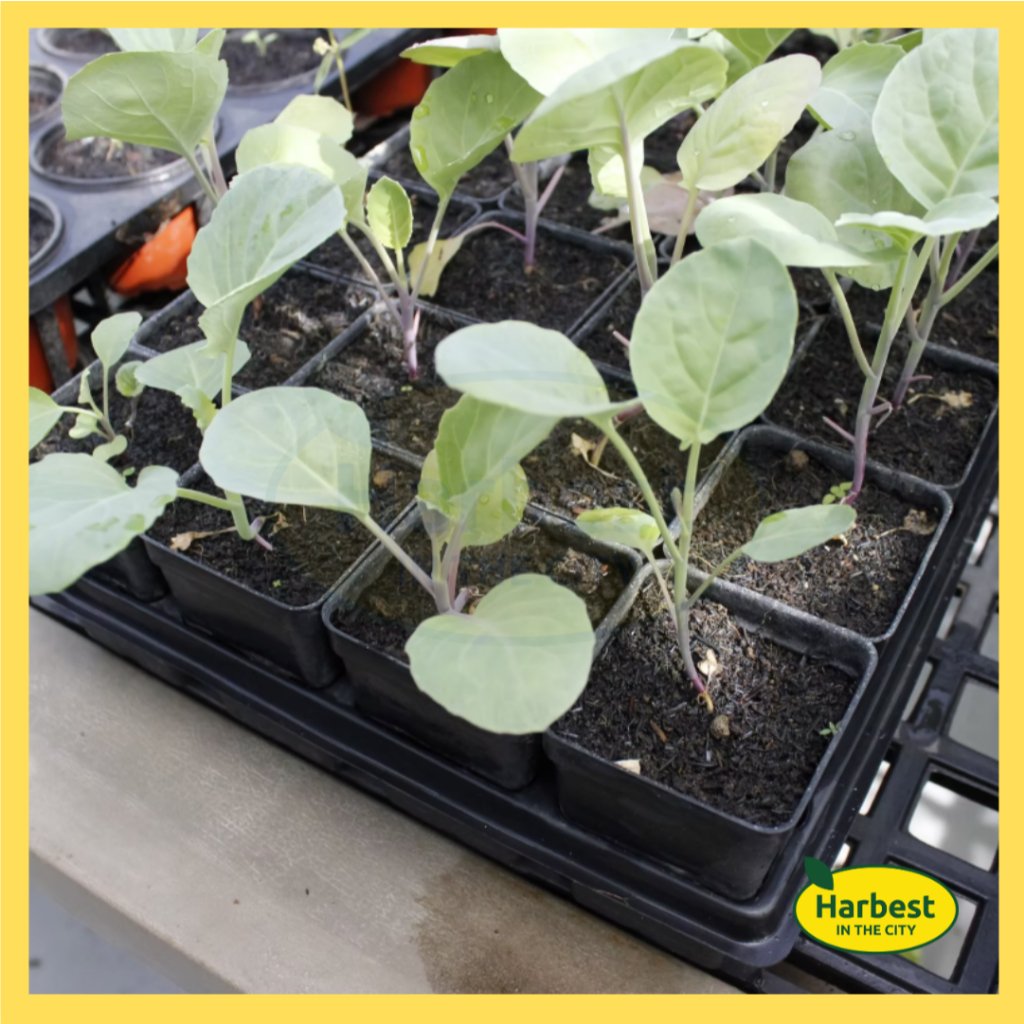 Ph 11134207 7rasi m8eaek99qg7ya4.jpeg