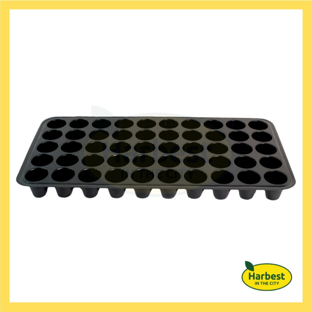 Ph 11134207 7rasi m8ei5ads34gx8f.jpeg