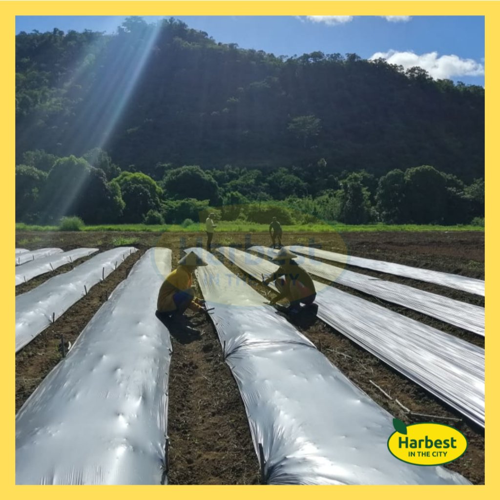 Ph 11134207 7rasi m8zurw01dj0t04.jpeg