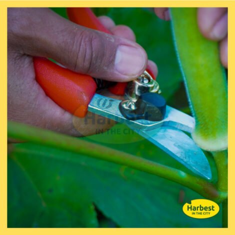 Ph 11134207 7rasi m9fdudzgcz03e2.jpeg