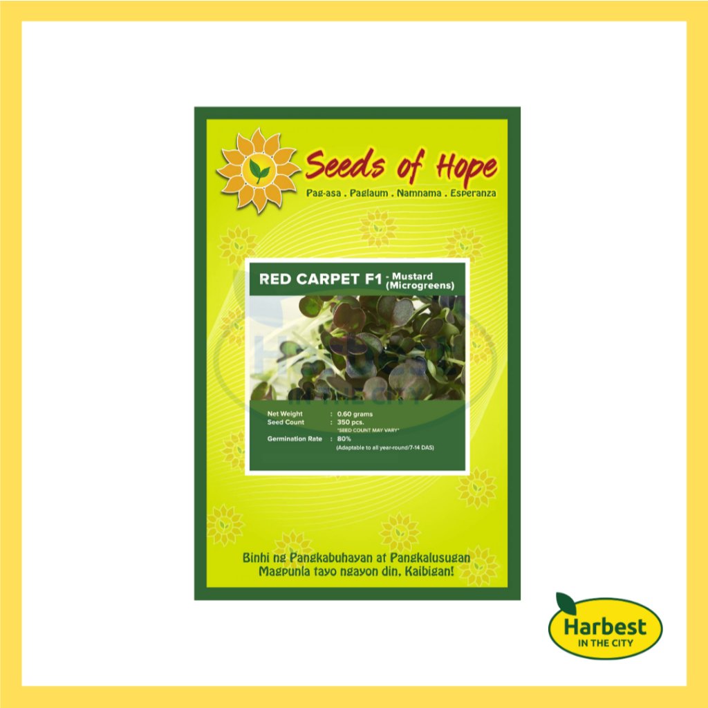 Ph 11134207 7rasj m4slky8o3seac6.jpeg