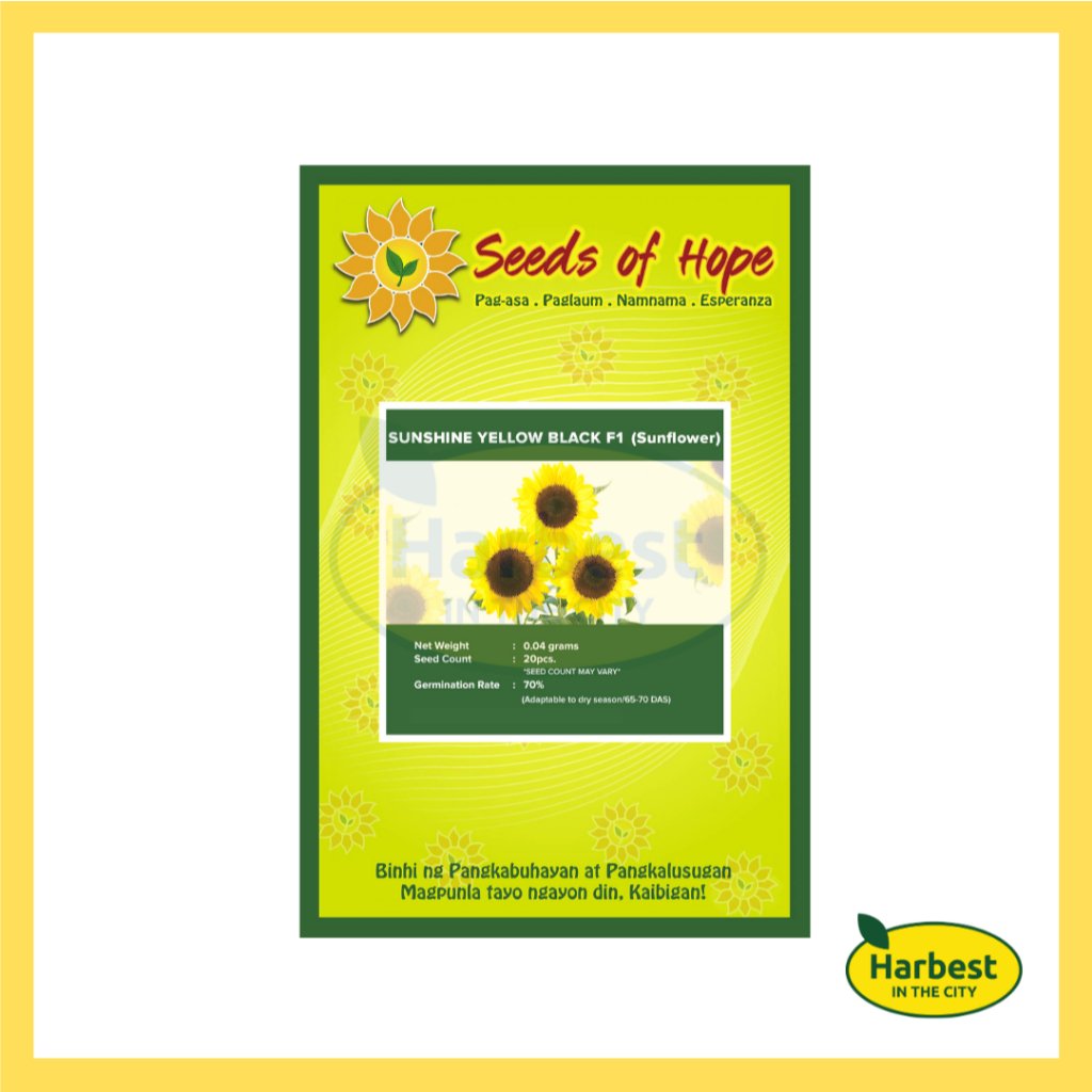 Ph 11134207 7rasj m4smbvlxifcz99.jpeg