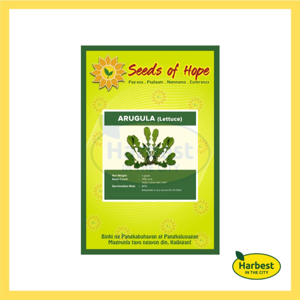 Ph 11134207 7rasj m545a5at283m9a.jpeg