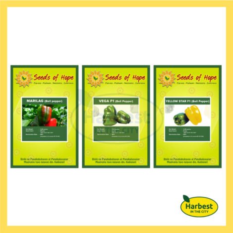 Ph 11134207 7rasj m55hmcqe1thq49.jpeg