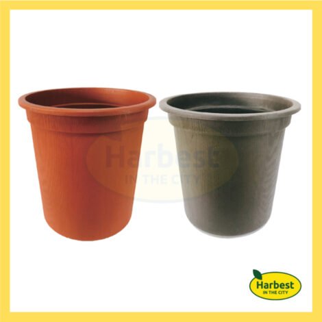 Ph 11134207 7rasj m5axrwxbfs0299.jpeg