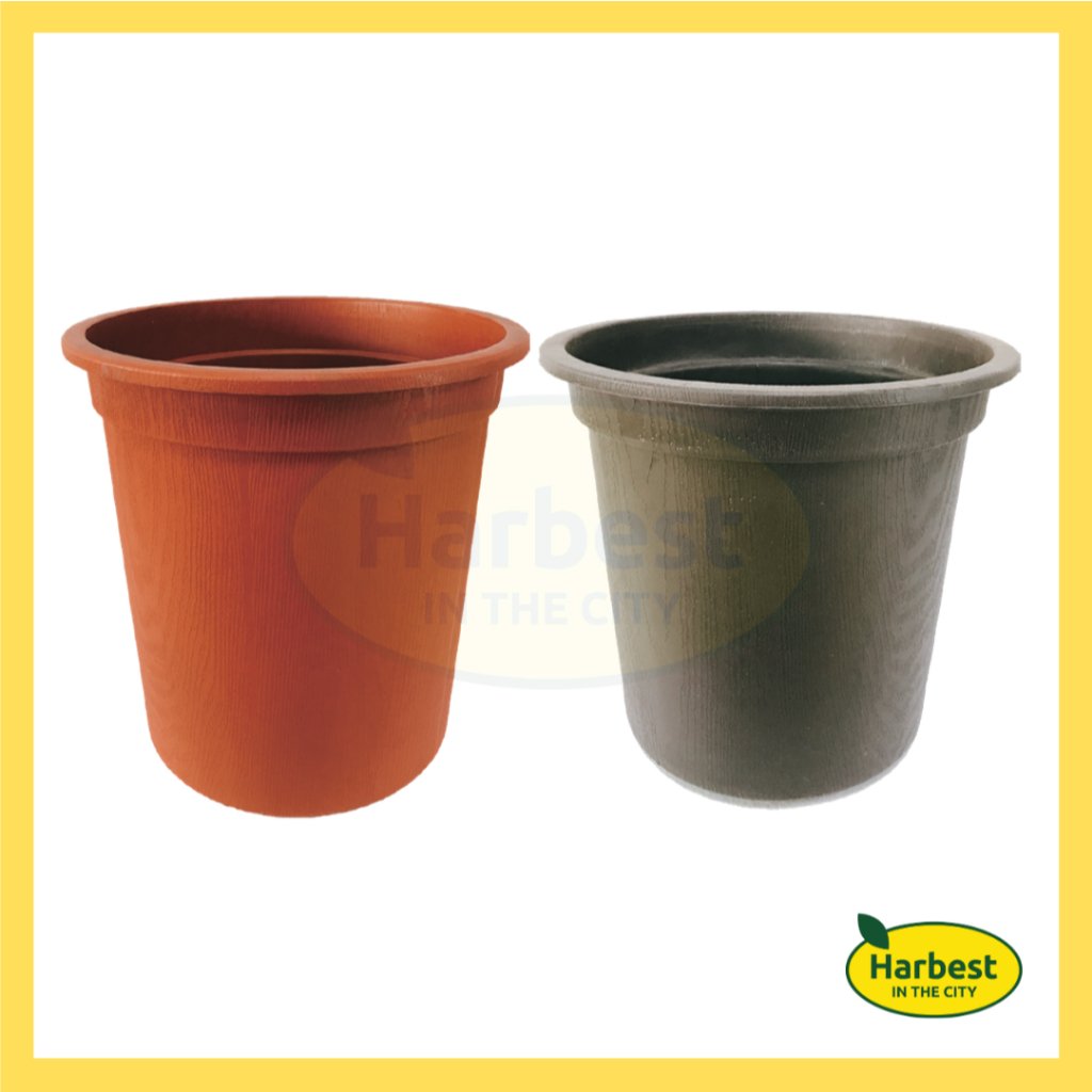 Ph 11134207 7rasj m5axrwxbfs0299.jpeg