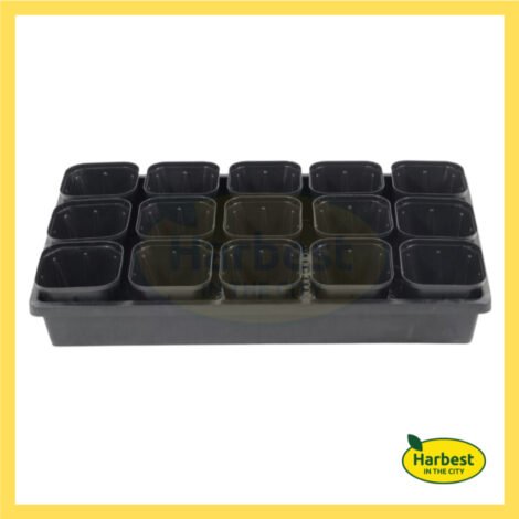 Ph 11134207 7rasj m8e60t62e6ceb4.jpeg