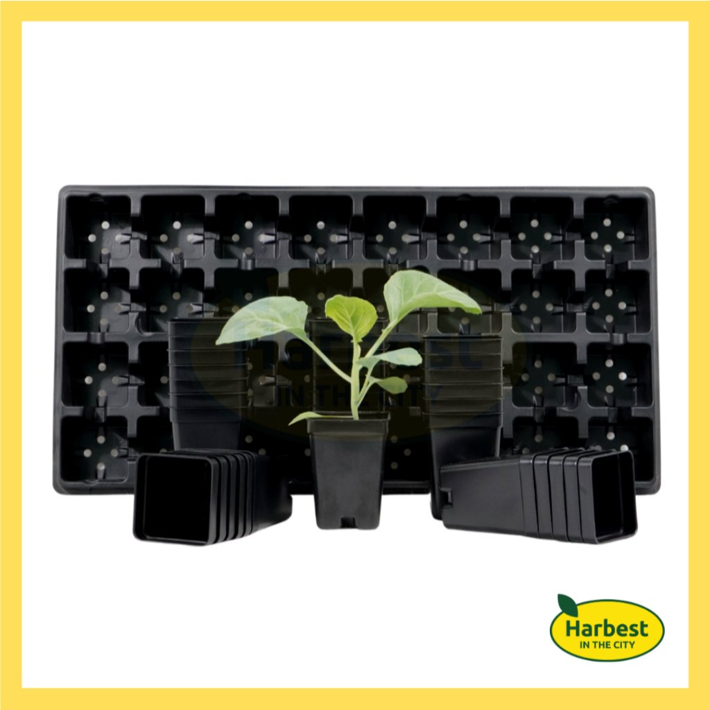 Ph 11134207 7rasj m8eaek99uo3x15.jpeg