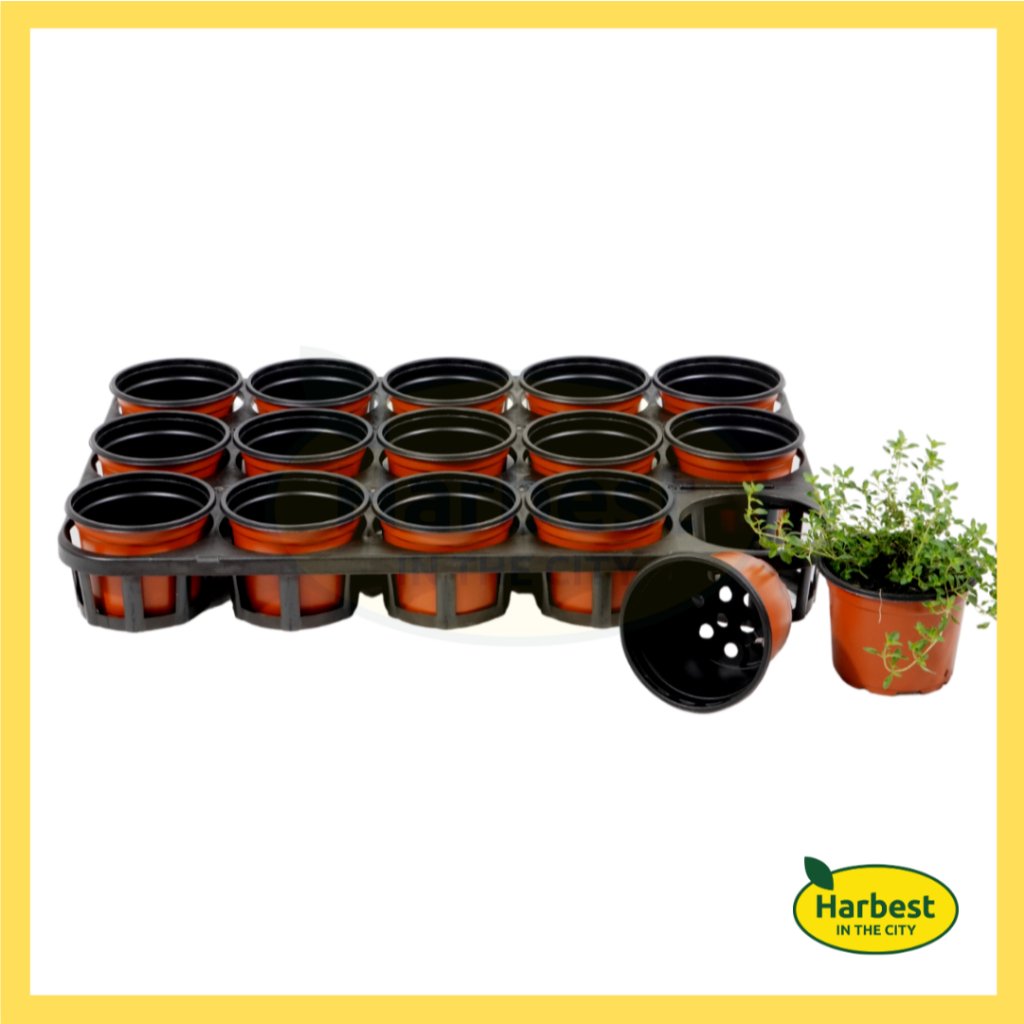 Ph 11134207 7rasj m8eetw8ftrxa13.jpeg