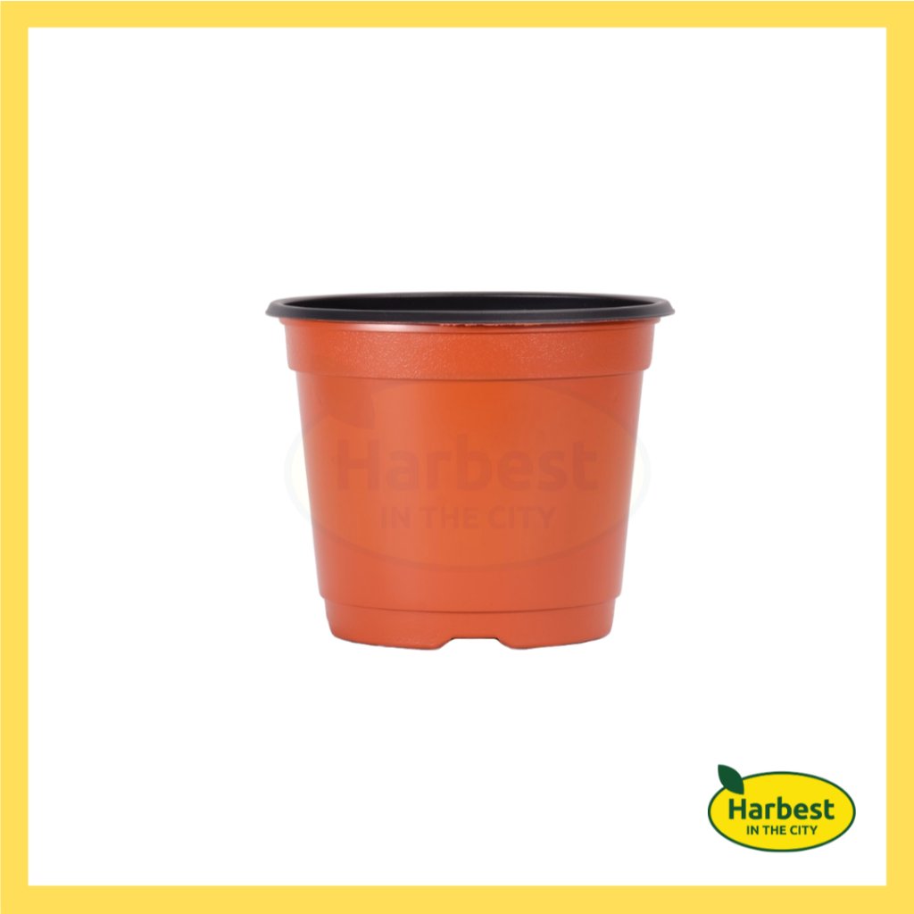 Ph 11134207 7rasj m8ykl5r8qutpd1.jpeg