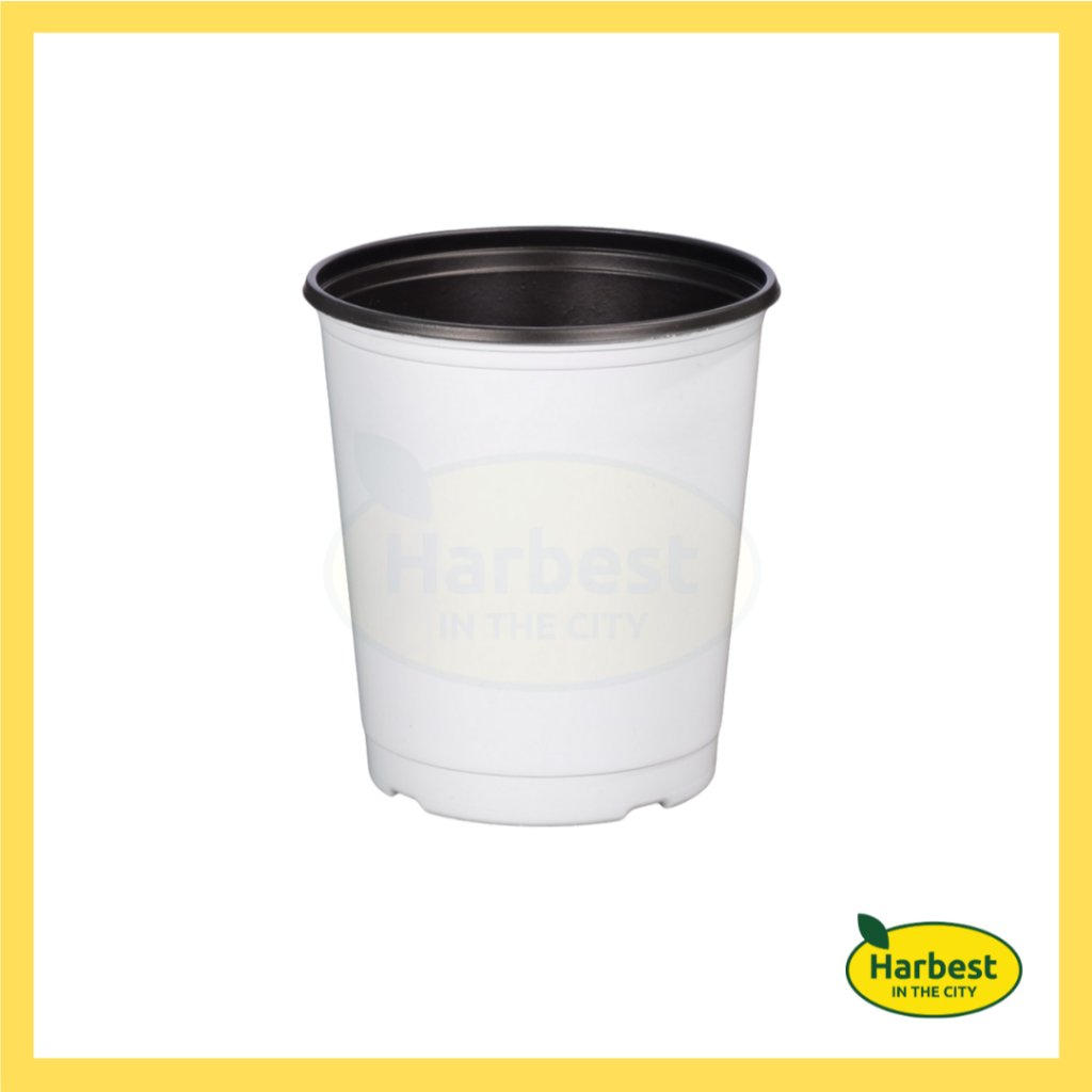 Ph 11134207 7rasj m8ykl62c7staeb.jpeg