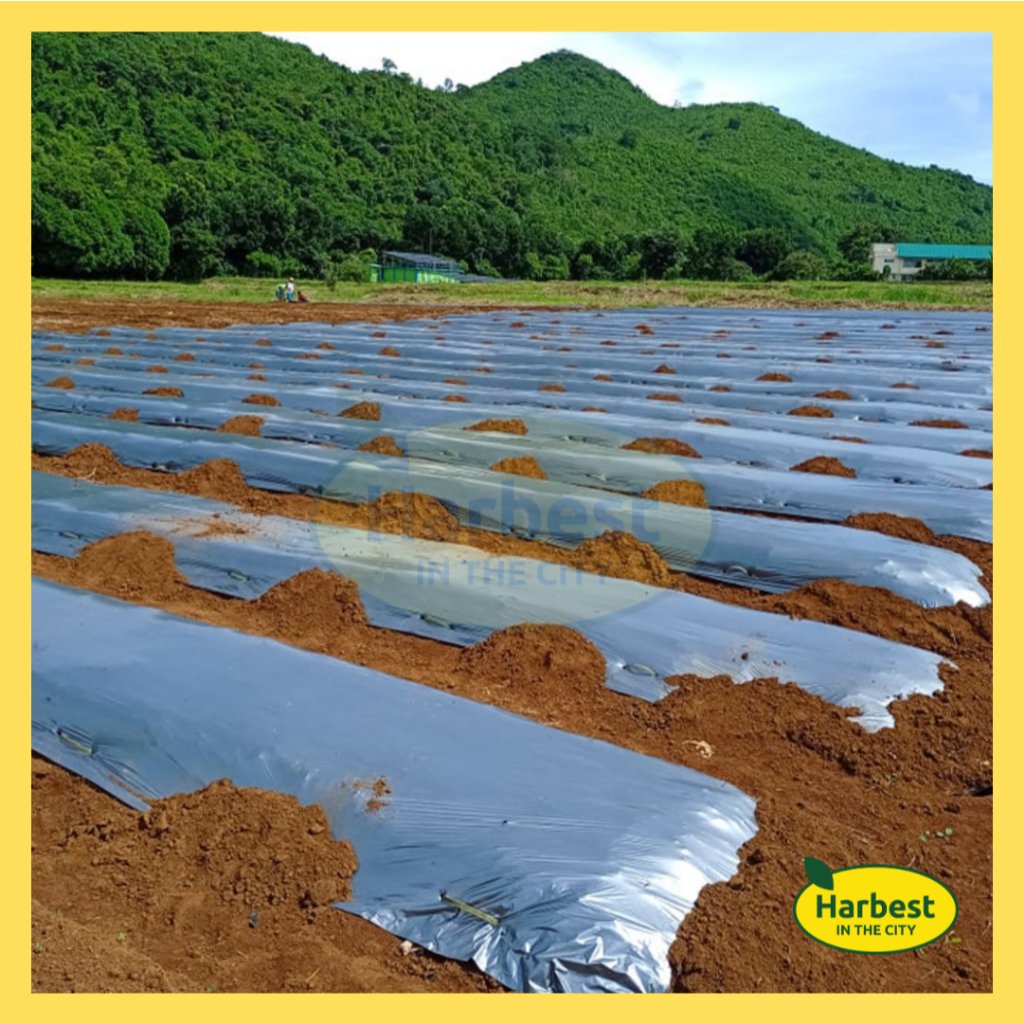 Ph 11134207 7rasj m8zurw0vcazi16.jpeg