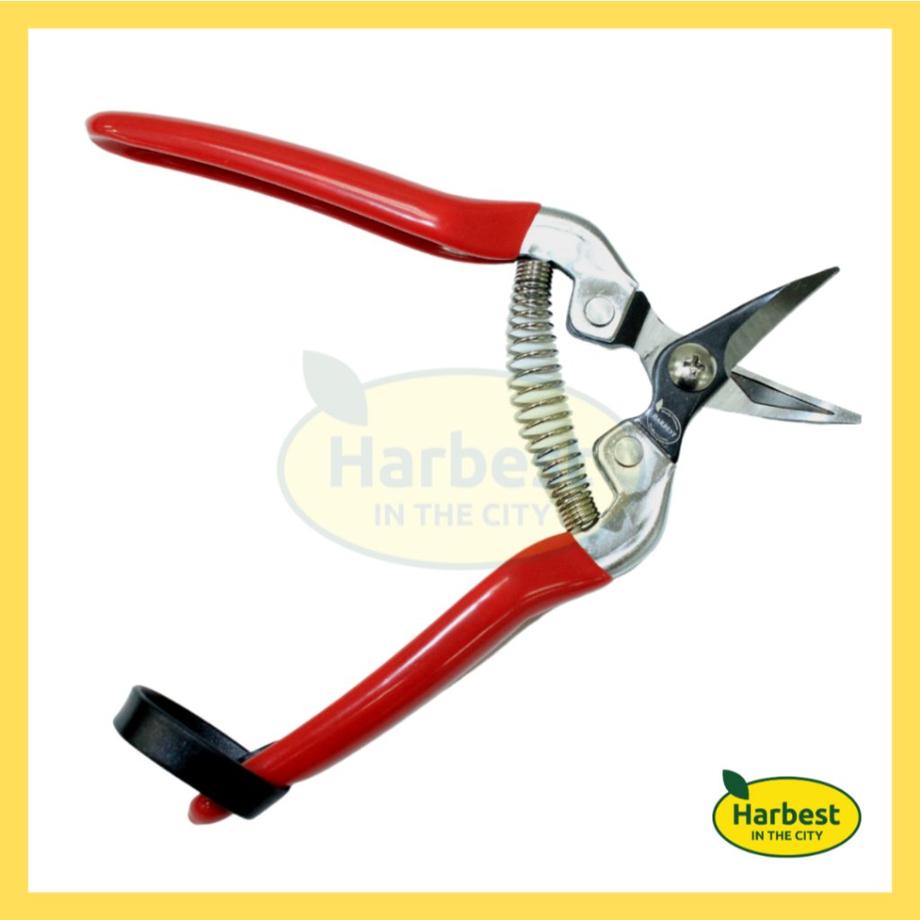 Ph 11134207 7rasj m9fdudywds8je1.jpeg